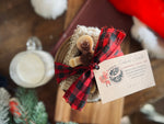 Cookies for Santa!