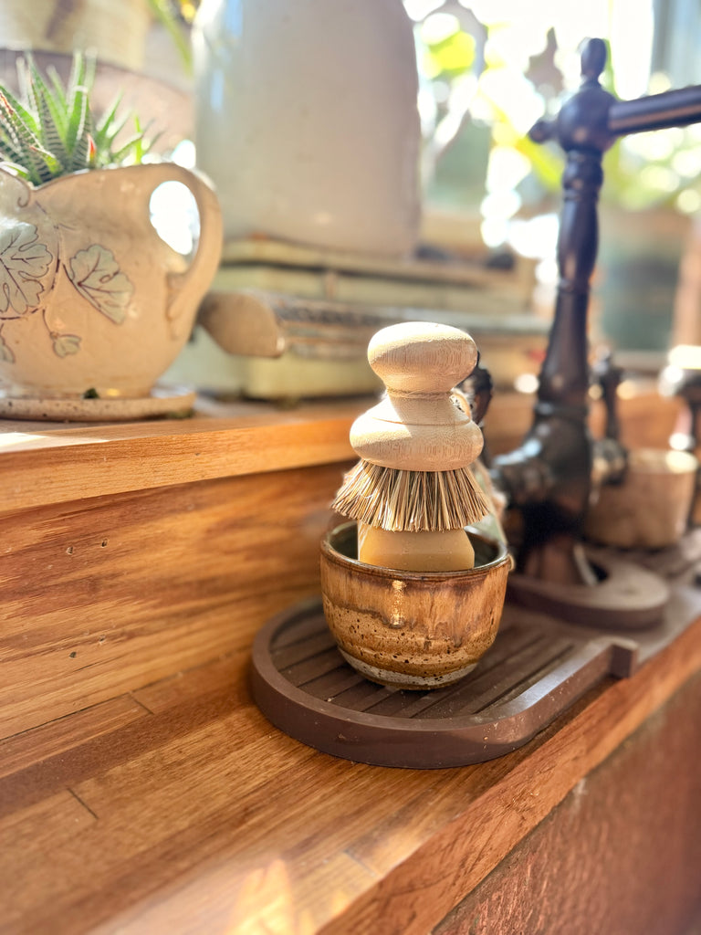plant pot brush Casa Agave pot brush scrubber