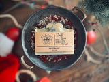 Sleigh ride