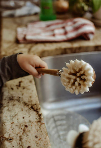 Bamboo long handle dish brush